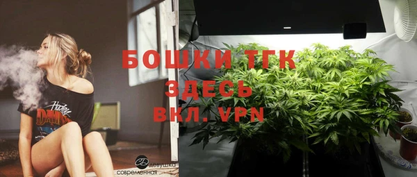 дмт Алексин